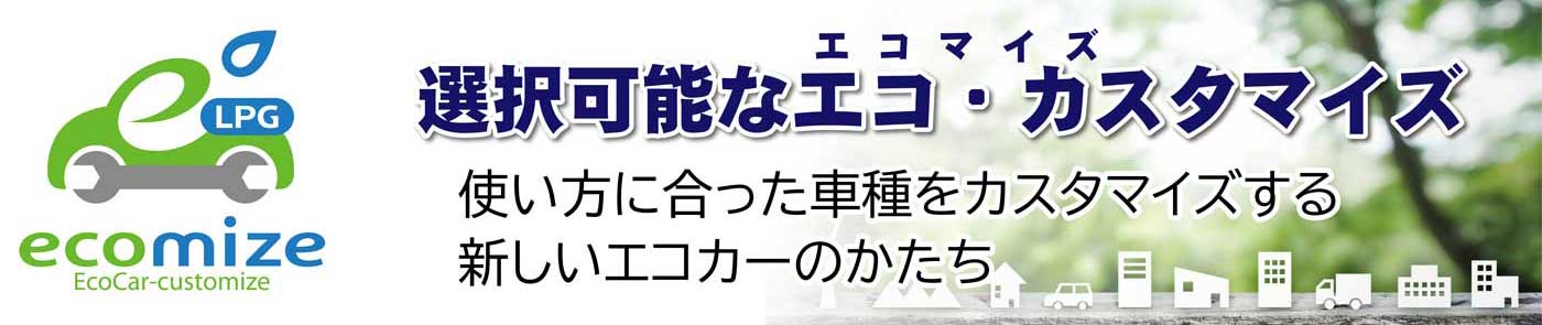 選択可能なエコ